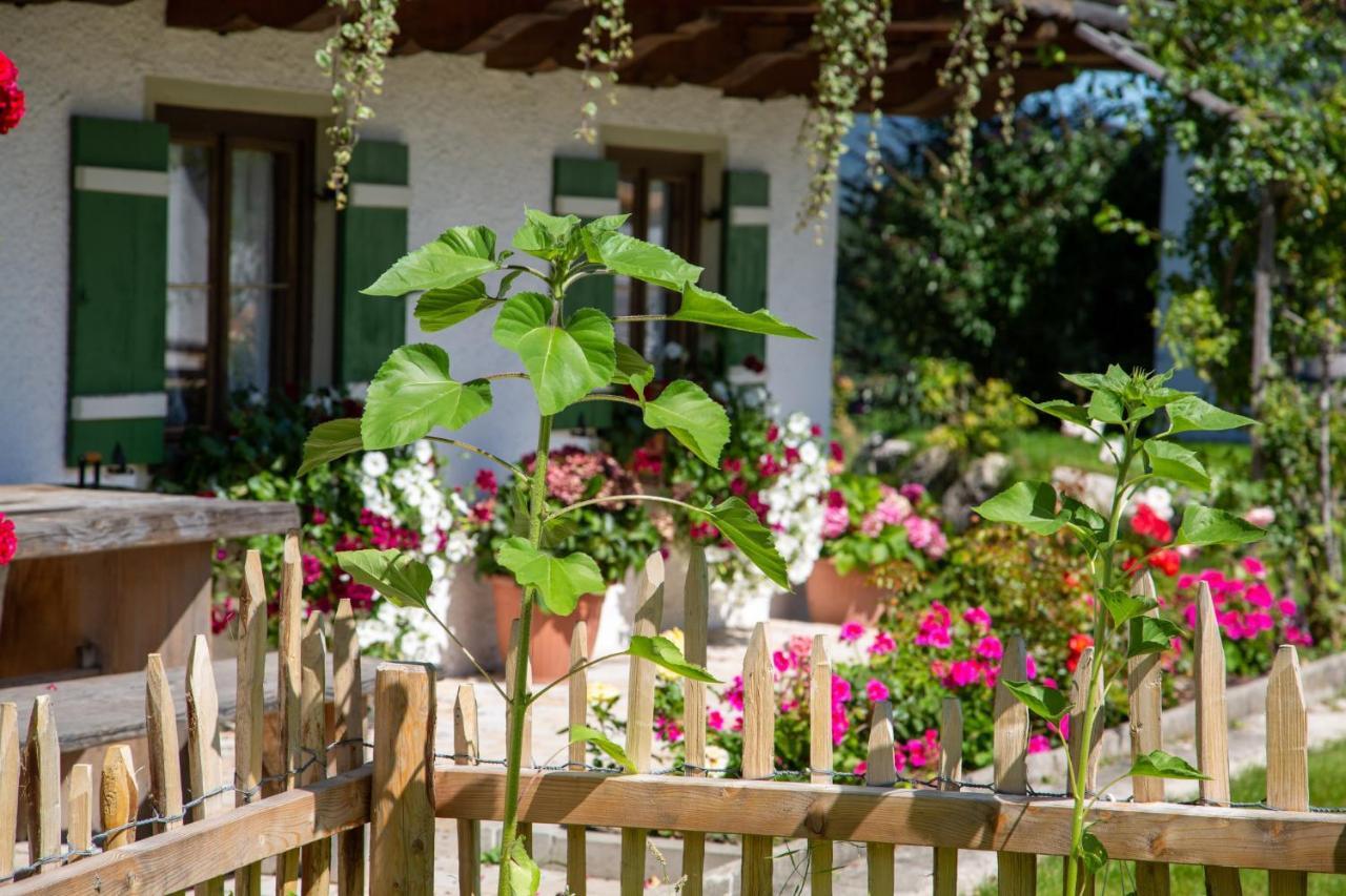 Willa Ramslerhof - Chiemgau Karte Inzell Zewnętrze zdjęcie